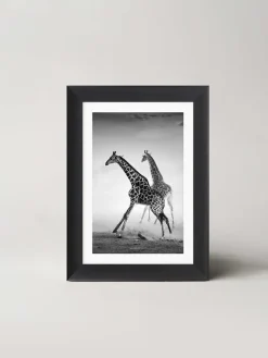 Ars Longa Wanddekoration<Gerahmter Kunstdruck "Running Giraffes" - (L)70 x (B)50 cm