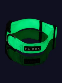 Paikka Hunde<Halsband "Glow" in Grün