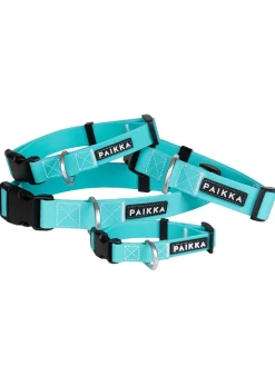 Paikka Hunde<Halsband "Glow" in Türkis