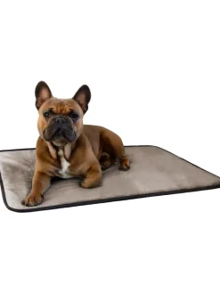 Aspero Hunde<Hundedecke Lund in Beige