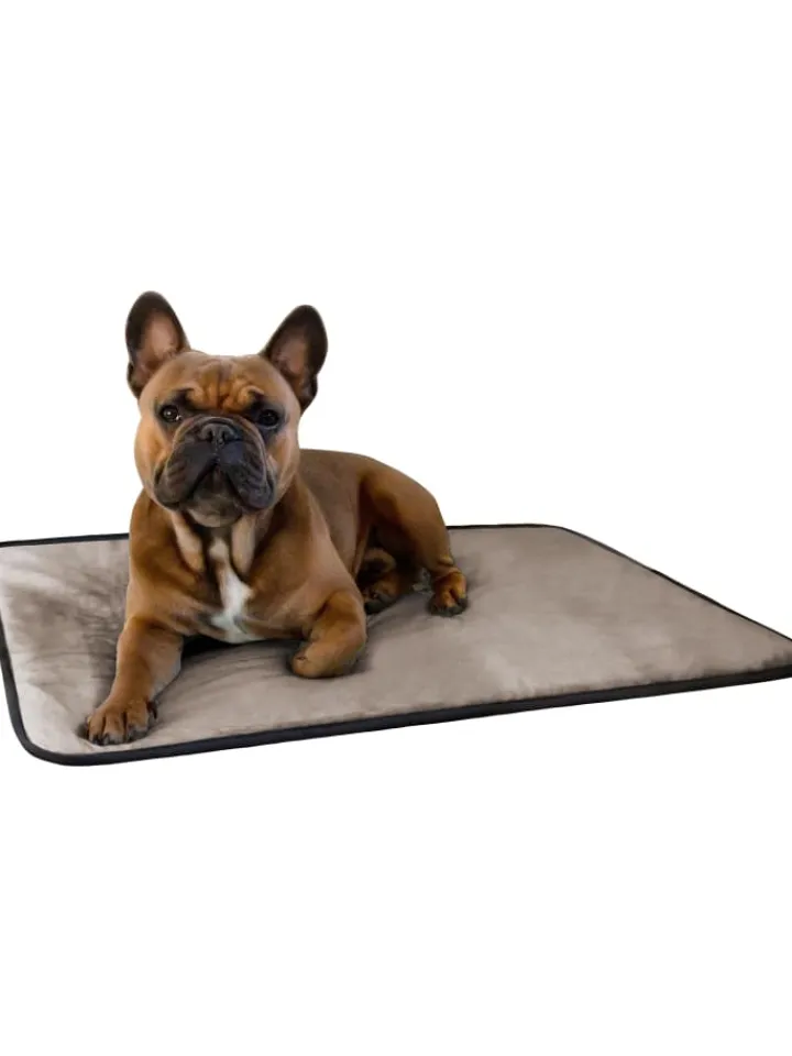 Aspero Hunde<Hundedecke Lund in Beige
