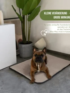 Aspero Hunde<Hundedecke Lund in Beige