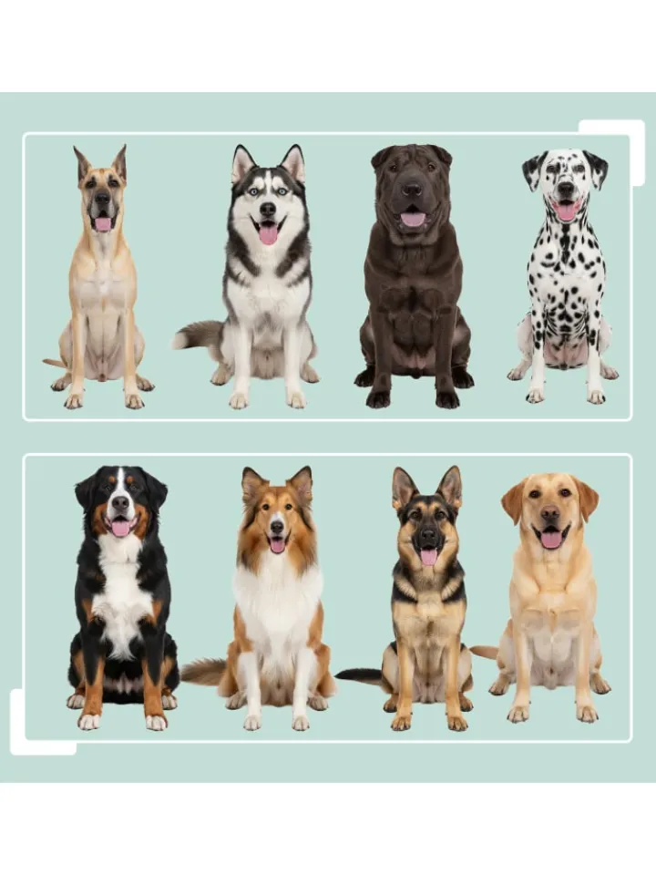 relaxdays Hunde<Hunde-Futterstation in Weiß - (B)60 x (H)42 x (T)30 cm