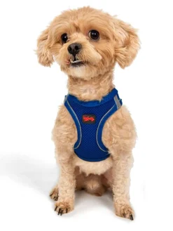 Paws&Whiskers Hunde<Hundegeschirr in Blau