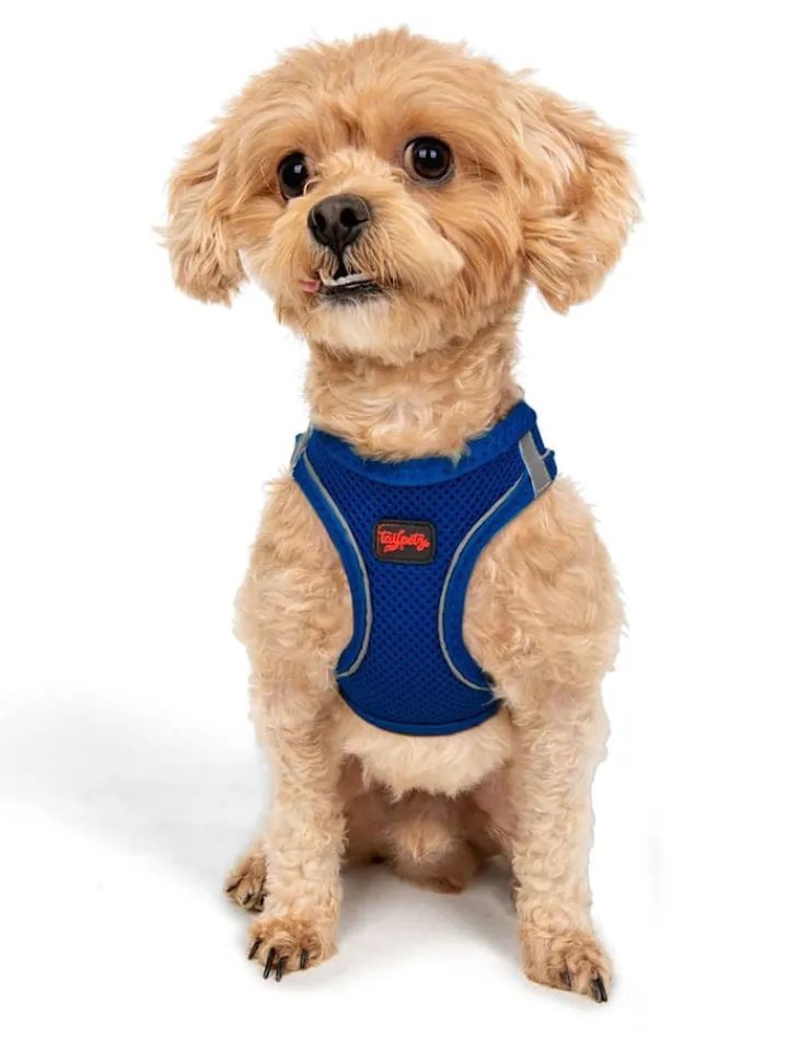 Paws&Whiskers Hunde<Hundegeschirr in Blau