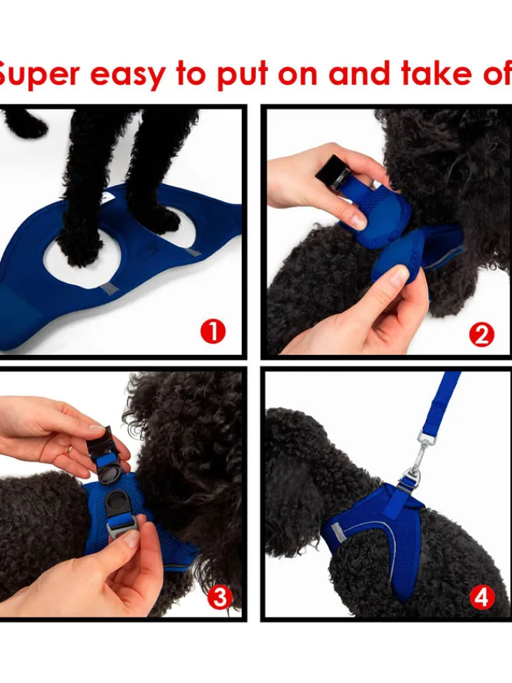 Paws&Whiskers Hunde<Hundegeschirr in Blau