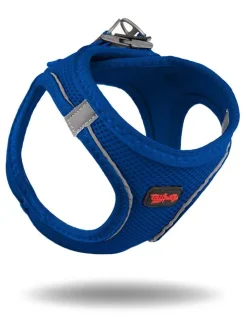 Paws&Whiskers Hunde<Hundegeschirr in Blau