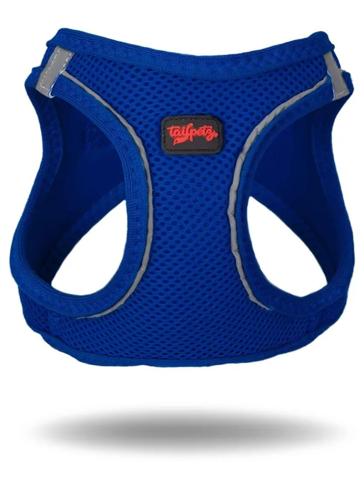 Paws&Whiskers Hunde<Hundegeschirr in Blau