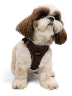 Paws&Whiskers Hunde<Hundegeschirr in Braun