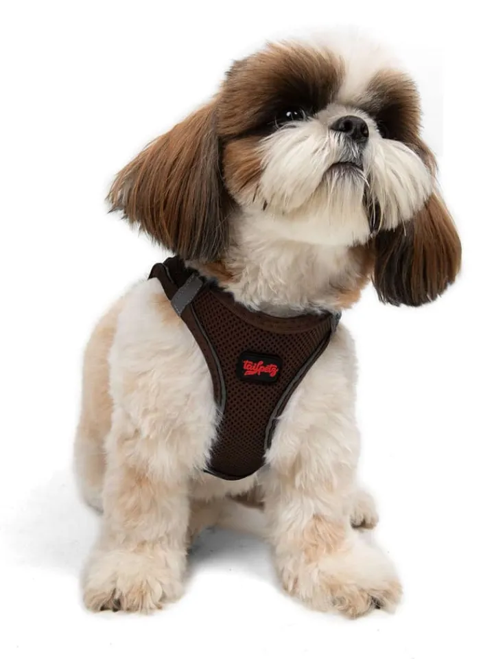 Paws&Whiskers Hunde<Hundegeschirr in Braun