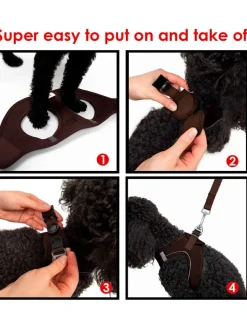 Paws&Whiskers Hunde<Hundegeschirr in Braun