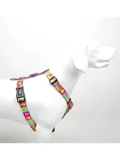 Paws&Whiskers Hunde<Hundegeschirr in Bunt