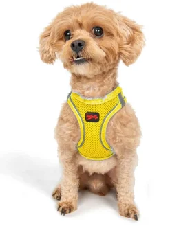 Paws&Whiskers Hunde<Hundegeschirr in Gelb