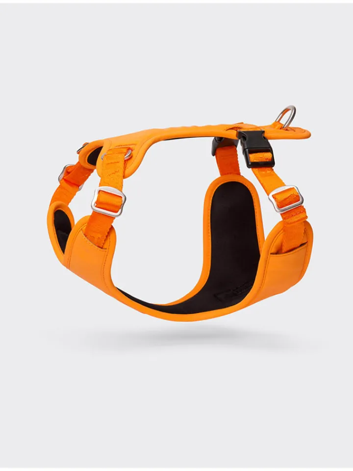Paikka Hunde<Hundegeschirr in Orange