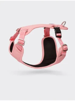 Paikka Hunde<Hundegeschirr in Rosa