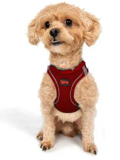 Paws&Whiskers Hunde<Hundegeschirr in Rot