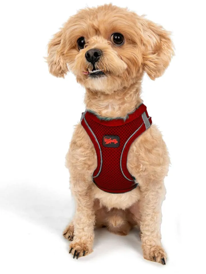 Paws&Whiskers Hunde<Hundegeschirr in Rot
