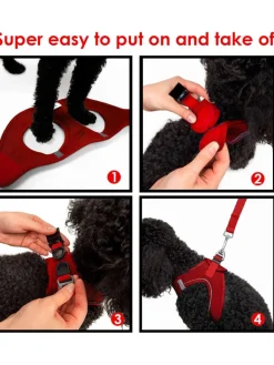 Paws&Whiskers Hunde<Hundegeschirr in Rot