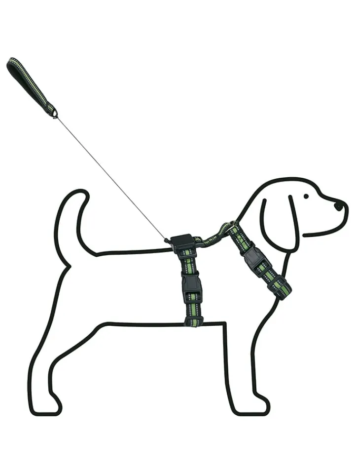 Edco Hunde<Hundegeschirr in Schwarz/ Grün