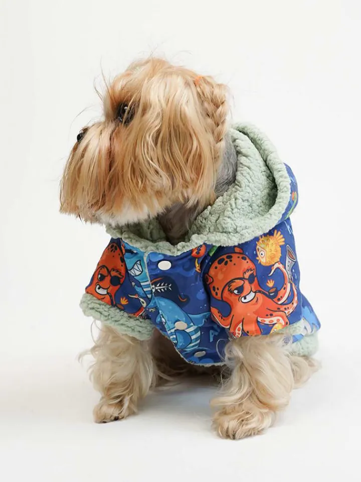 Paws&Whiskers Hunde<Hundehoodie in Blau