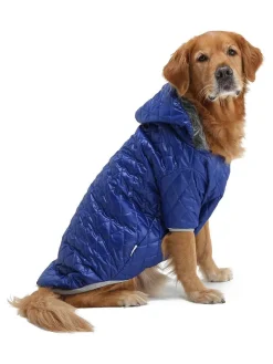 Paws&Whiskers Hunde<Hundehoodie in Blau