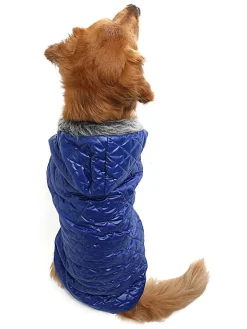 Paws&Whiskers Hunde<Hundehoodie in Blau