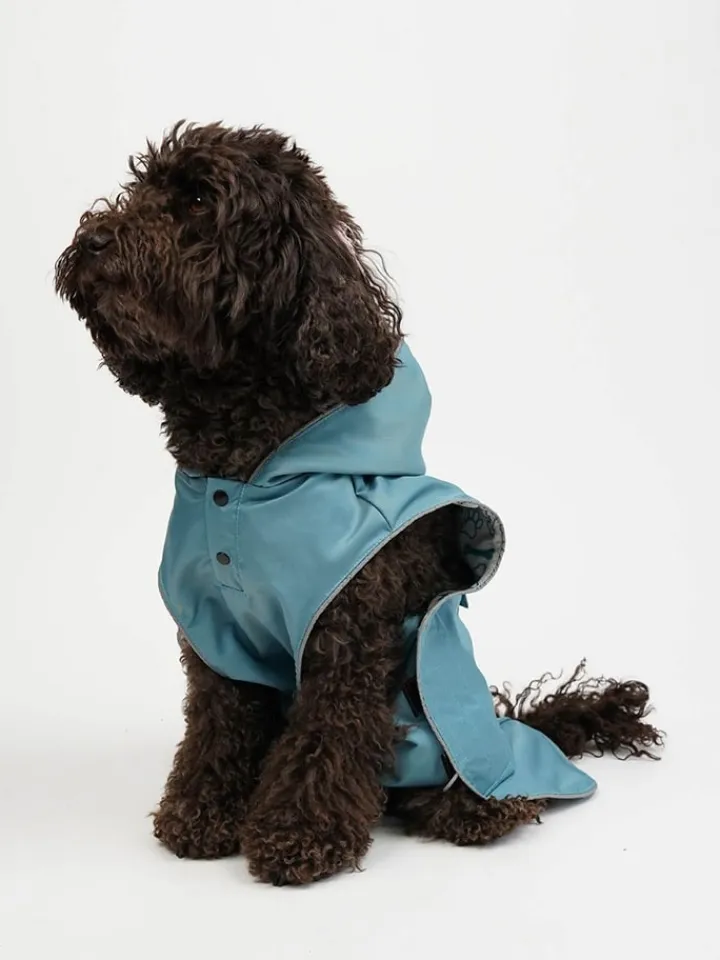 Paws&Whiskers Hunde<Hundehoodie in Hellblau