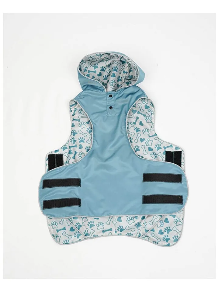 Paws&Whiskers Hunde<Hundehoodie in Hellblau