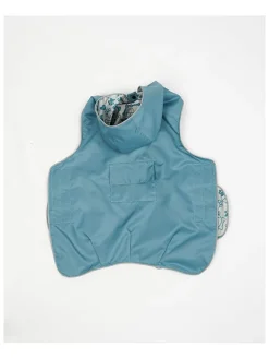 Paws&Whiskers Hunde<Hundehoodie in Hellblau