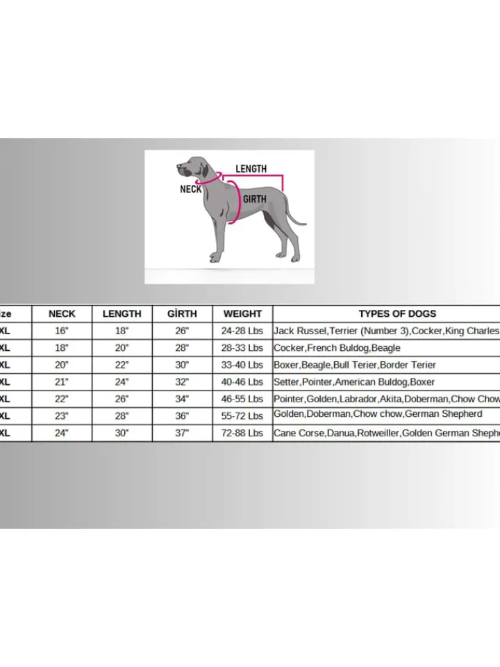 Paws&Whiskers Hunde<Hundehoodie in Khkai