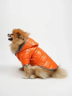 Paws&Whiskers Hunde<Hundehoodie in Orange