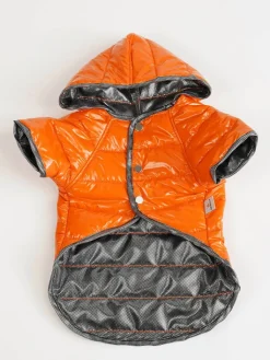 Paws&Whiskers Hunde<Hundehoodie in Orange