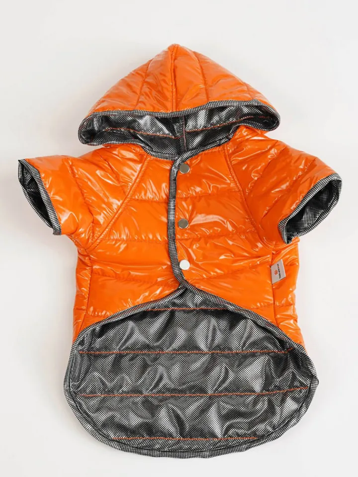 Paws&Whiskers Hunde<Hundehoodie in Orange
