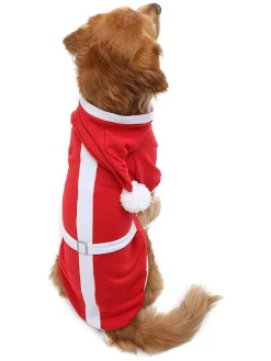 Paws&Whiskers Hunde<Hundehoodie in Rot