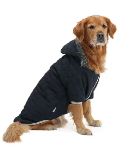 Paws&Whiskers Hunde<Hundehoodie in Schwarz