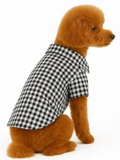 Paws&Whiskers Hunde<Hundehoodie in Schwarz/ Weiß