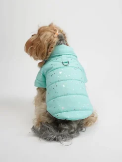 Paws&Whiskers Hunde<Hundehoodie in Türkis