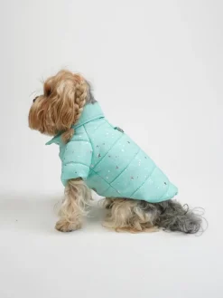 Paws&Whiskers Hunde<Hundehoodie in Türkis