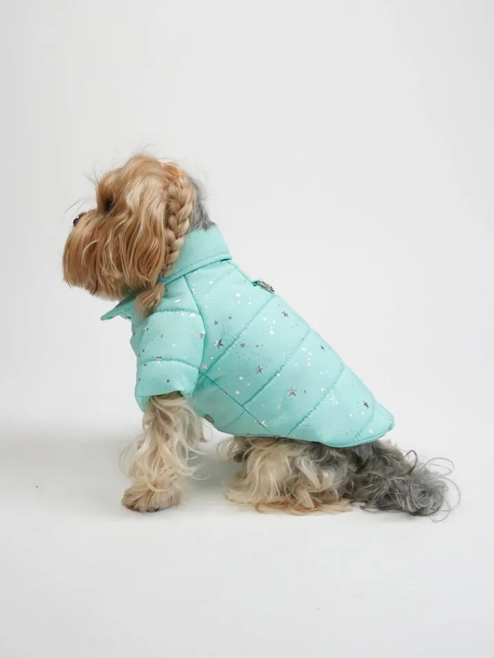 Paws&Whiskers Hunde<Hundehoodie in Türkis