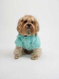 Paws&Whiskers Hunde<Hundehoodie in Türkis
