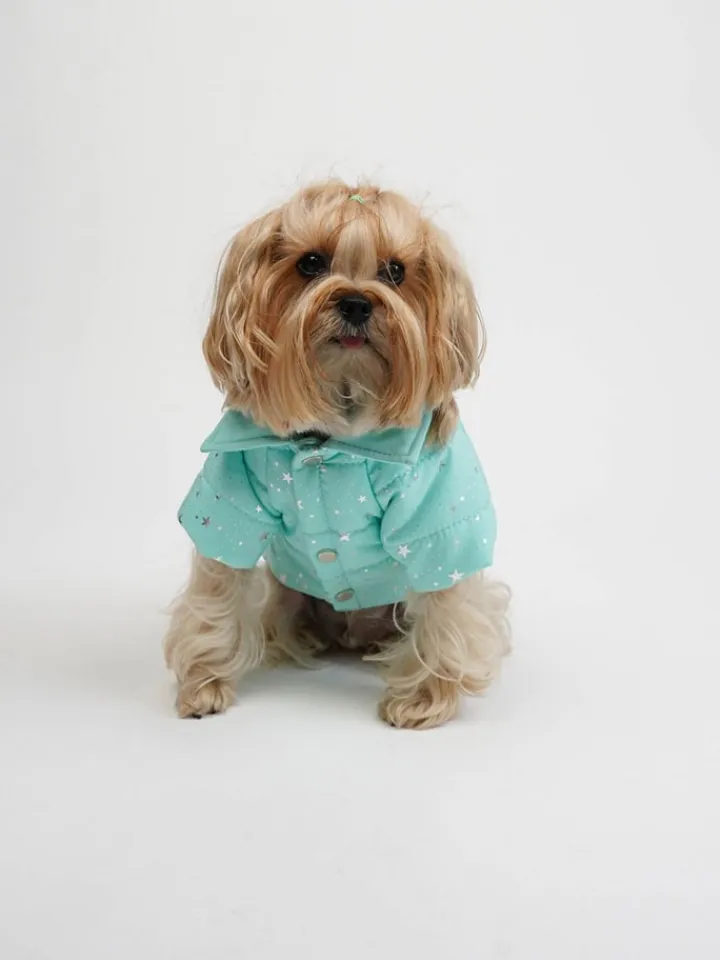 Paws&Whiskers Hunde<Hundehoodie in Türkis