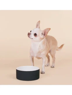 Paikka Hunde<Hundeschüssel "Cool Bowl" in Schwarz - Ø13 cm