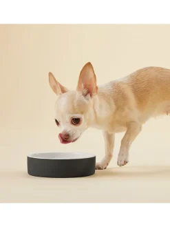 Paikka Hunde<Hundeschüssel "Cool Bowl" in Schwarz - Ø13 cm