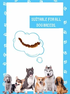 Paws&Whiskers Hunde<Hundespielzeug in Hellbraun - (L)65 cm