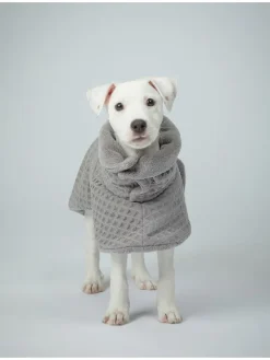 Paikka Hunde<Hunde-Trockenmantel in Grau