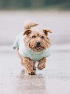 Paikka Hunde<Hunde-Trockenmantel in Hellgrün
