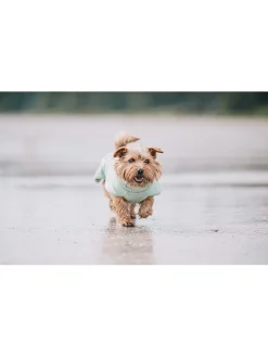 Paikka Hunde<Hunde-Trockenmantel in Hellgrün