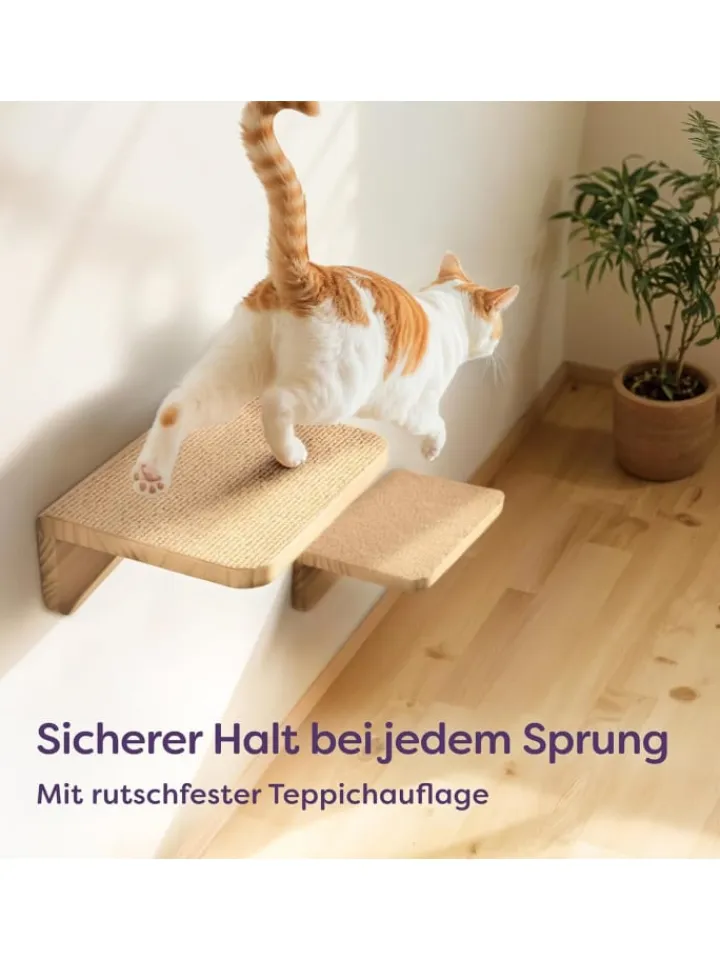Knupis Katzen<Katzen Kletterwand Set mit Katzenbett & 2X Katzentreppe - Kiefernholz