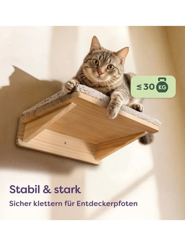 Knupis Katzen<Katzen Kletterwand Set mit Katzenbett & 2X Katzentreppe - Kiefernholz