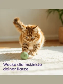 Knupis Katzen<Katzenbälle mit Glöckchen – 4 Bälle Wolle